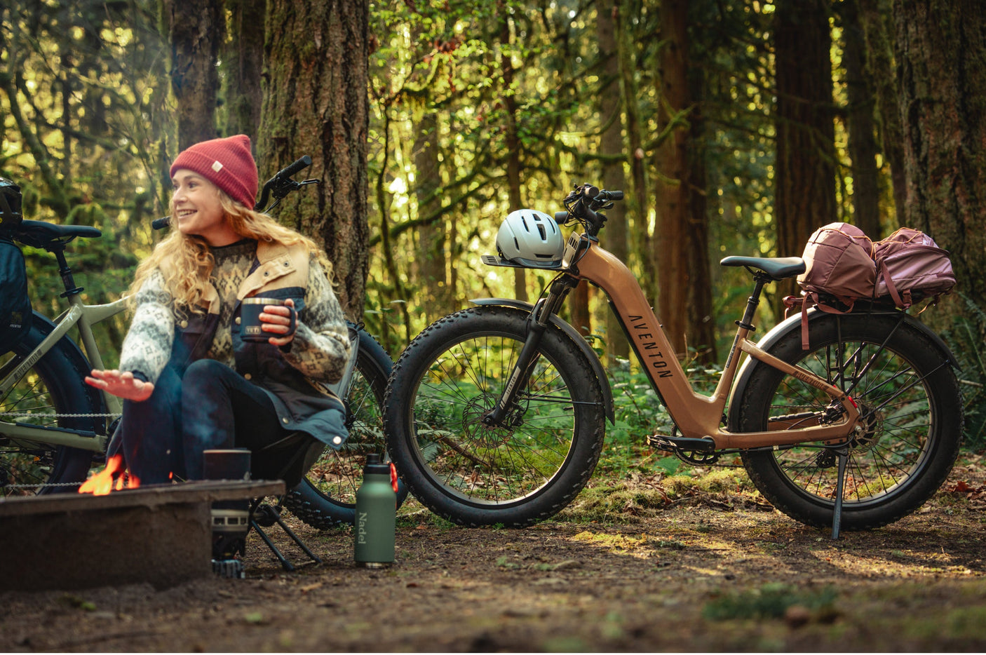 Aventon Aventure 3 Ebike