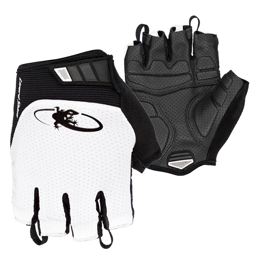 Aramus Cadence