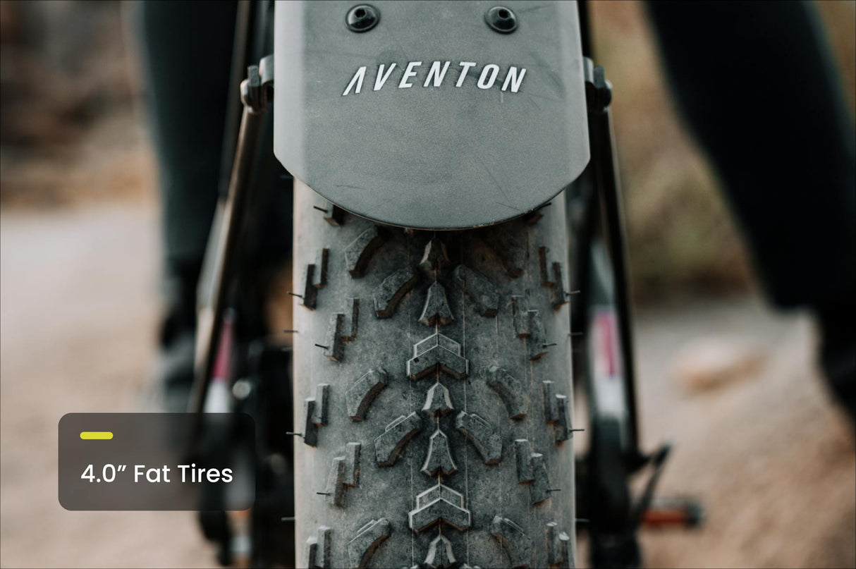 Aventon Aventure M Ebike