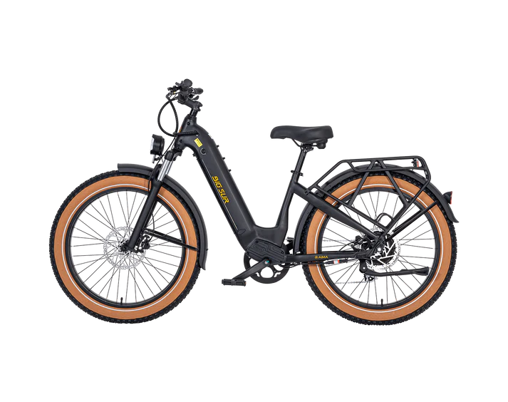AIMA Big Sur Ebike