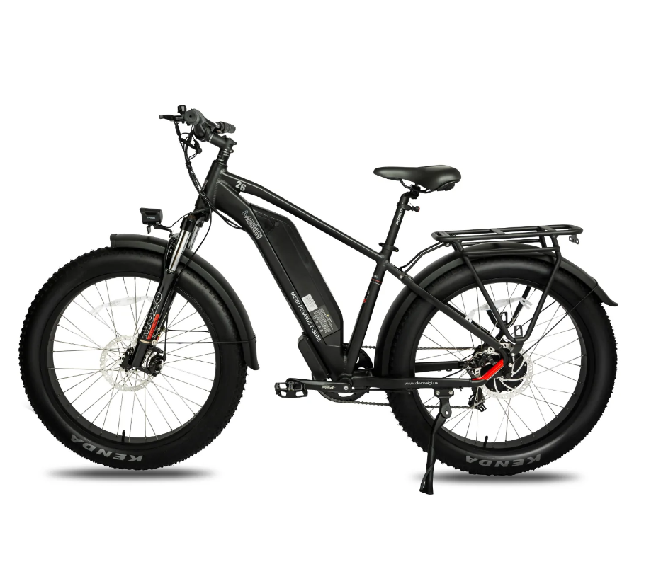 DWMEIGI MG8713 - Pegasus - Electric Bikes for Sale in