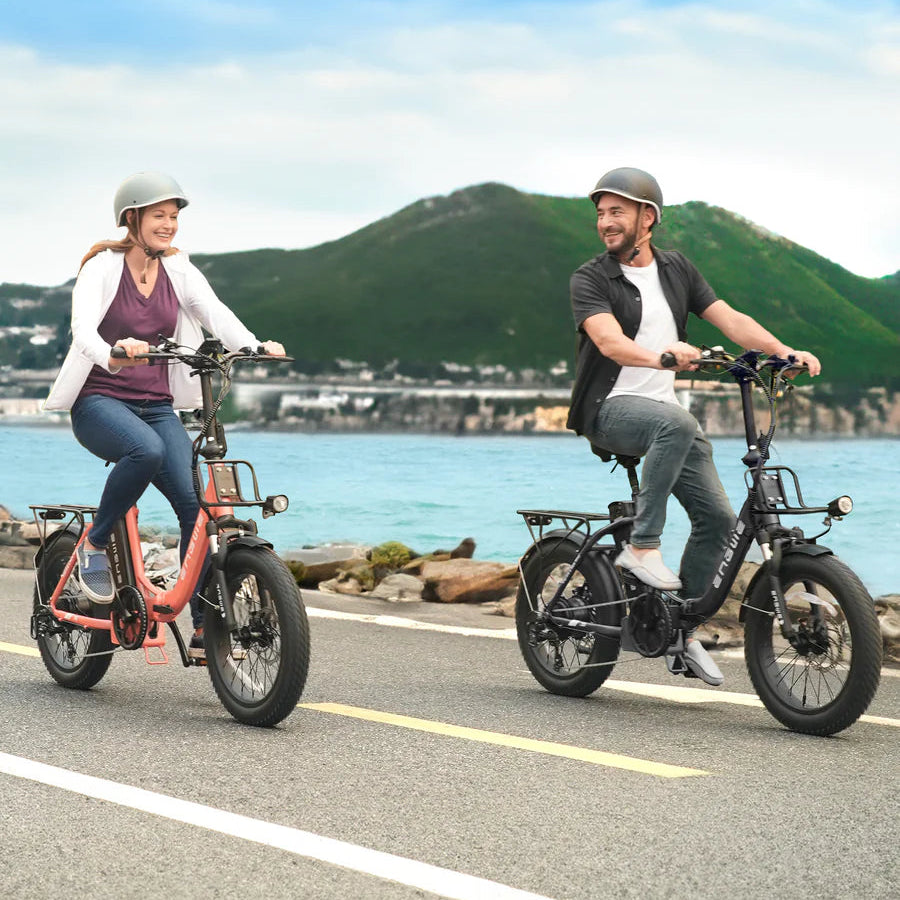 ENGWE L20 2.0 750W 75N.m 68 Miles Step-Thru Utility E-bike(Front Basket Excluded)