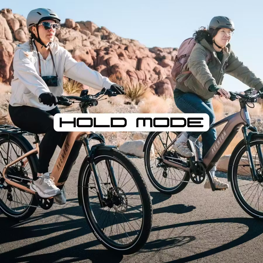 Aventon Level 3 Ebike