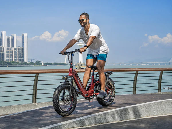 Heybike Ranger 3.0 Pro The Flagship Comfort Folding 20"x4" Fat-tire Ebike
