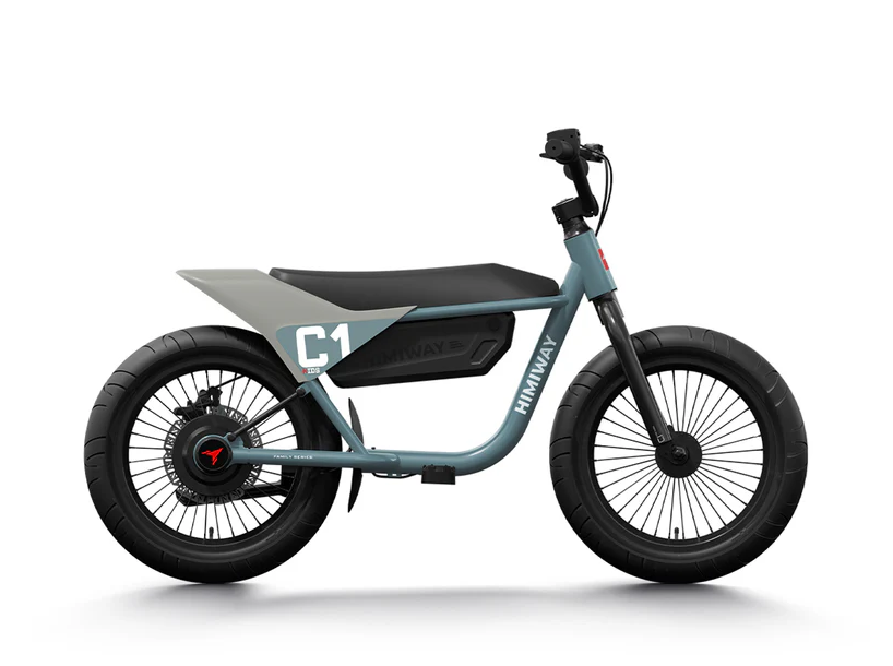 Thinking of Buying Your Kids an E-bike?