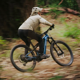 Mountain Ebikes