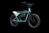 Himiway C1 Kids Electric Bike