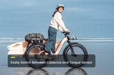 Aventon Aventure 3 Ebike