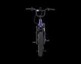 AIMA Big Sur U Cargo Ebike