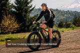 Aventon Aventure 3 Ebike