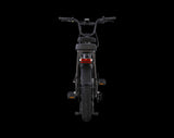 AIMA Big Sur U Cargo Ebike