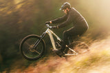 Aventon Current EXP Ebike