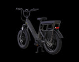 AIMA Big Sur U Cargo Ebike