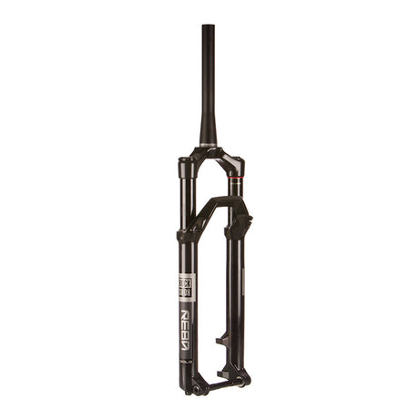 Reba Gold 3P Crown B1