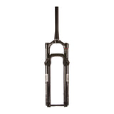 Reba Gold 3P Crown B1