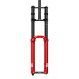 BoXXer Ultimate D2