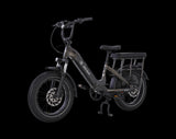 AIMA Big Sur U Cargo Ebike