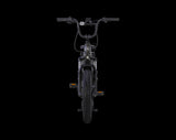 AIMA Big Sur U Cargo Ebike