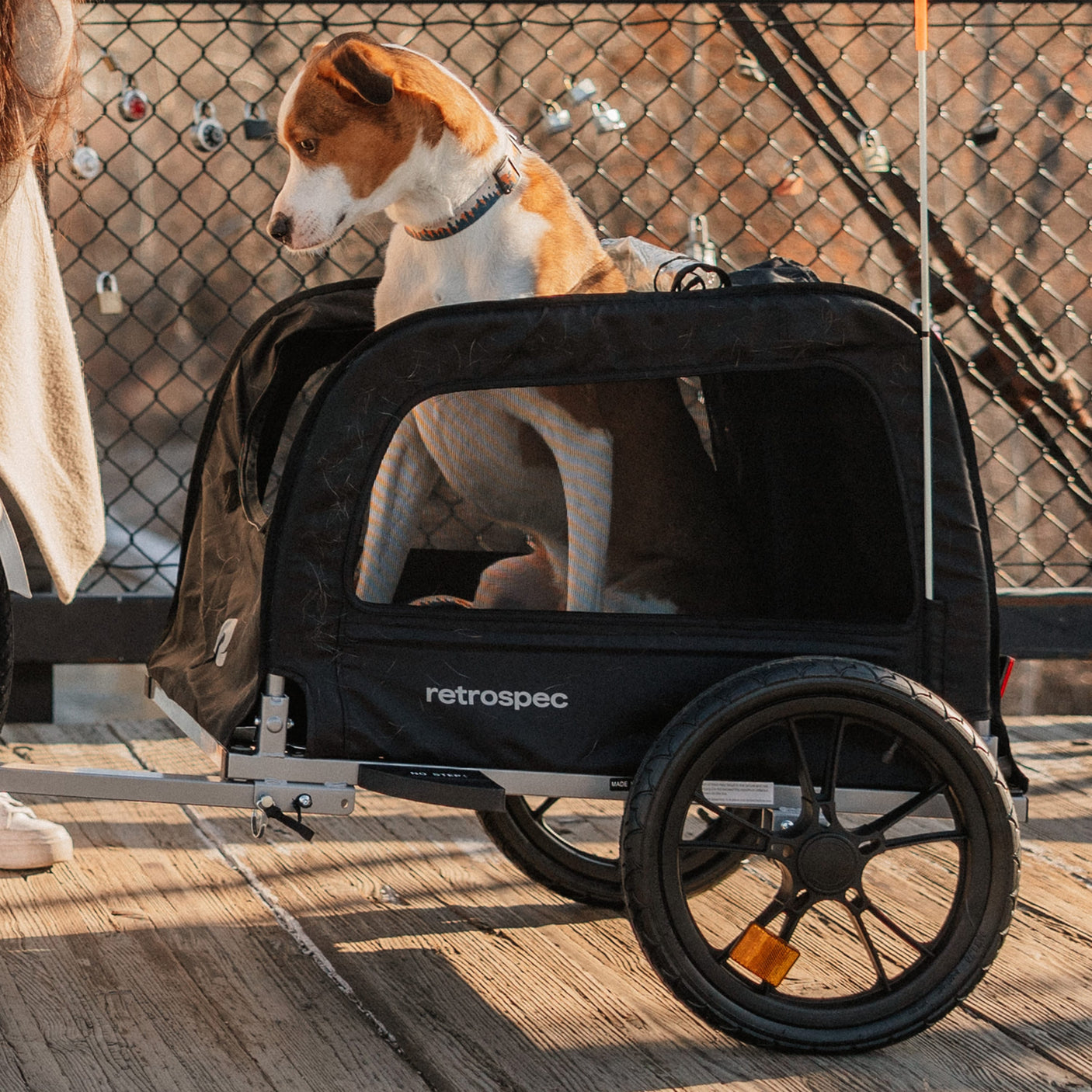 Rover Waggin' Pet Bike Trailer