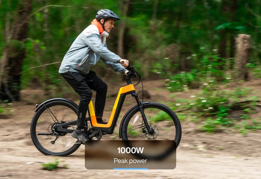 Carbon Fusion Pro E-Bike
