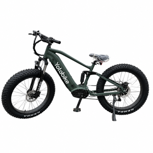 Yotobike Leopard Fat Tire Ebike