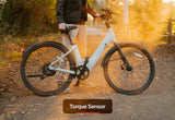 Urtopia Carbon Classic Step-Thru E-Bike