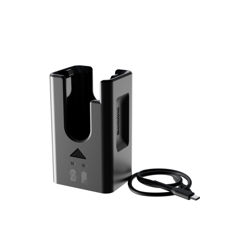 BATTERY CHARGER, EC-DN100, INCLUDING CHARGING CORD