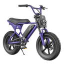 Macfox E-bike M16
