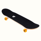 Alameda 7.5"/8" Complete Skateboard