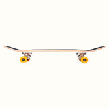 Alameda 7.5"/8" Complete Skateboard