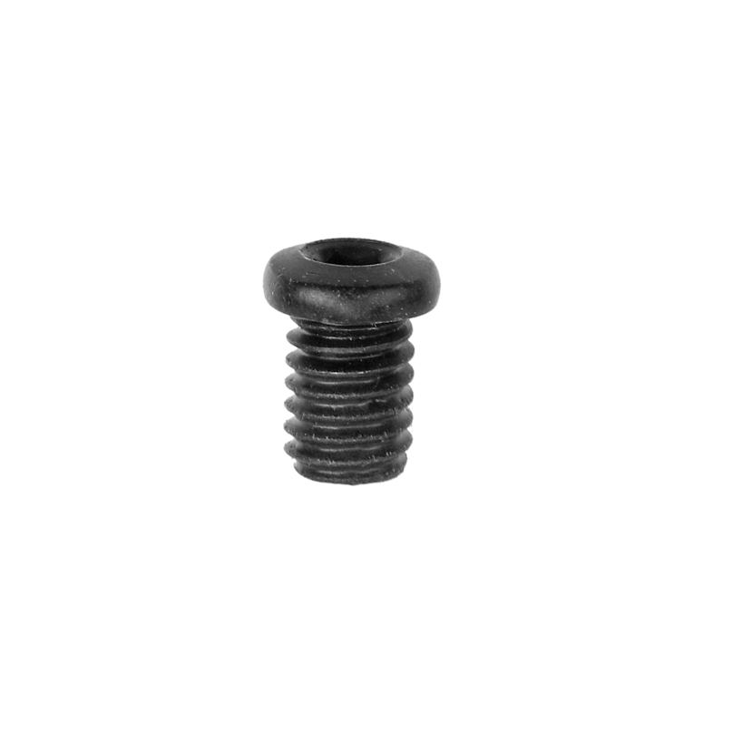 BR-9000 FIXING BOLT (M4X5.5)