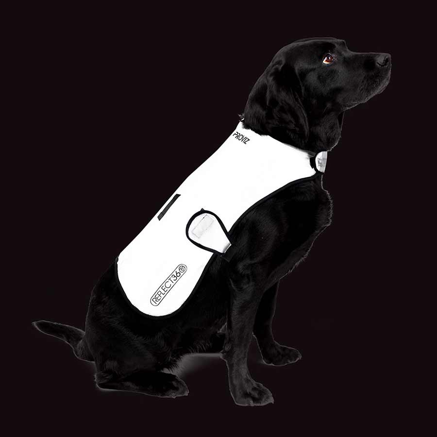 Dog Cover