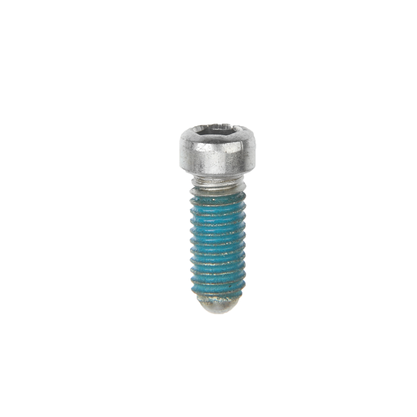 BR-4600 EC-SCREW(M4X10.2)