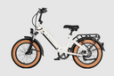 Aima Big Sur Sport 20" Ebike
