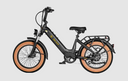 Aima Big Sur Sport 20" Ebike