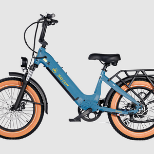 Aima Big Sur Sport 20" Ebike