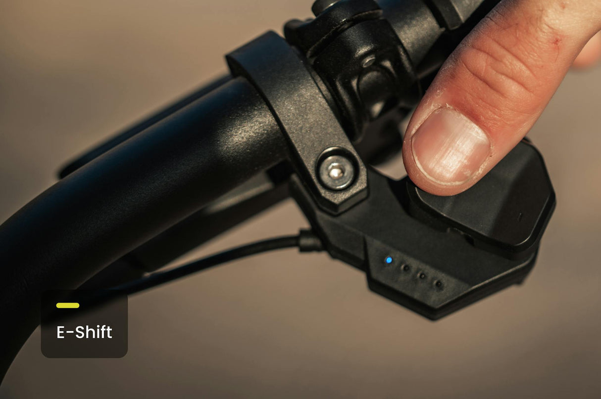 Aventon Aventure M Ebike