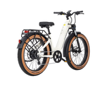 AIMA Big Sur Ebike