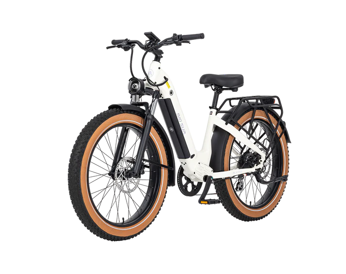 AIMA Big Sur Ebike