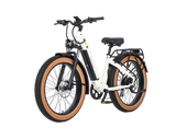 AIMA Big Sur Ebike