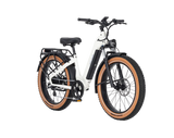 AIMA Big Sur Ebike