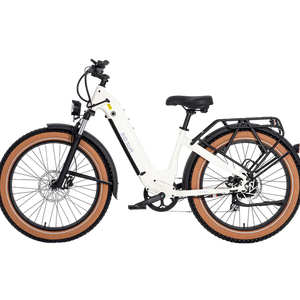 AIMA Big Sur Ebike