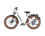 AIMA Big Sur Ebike