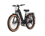 AIMA Big Sur Ebike