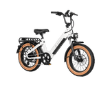 Aima Big Sur Sport Ebike