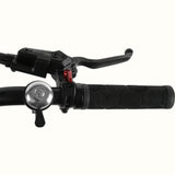 Boca Rev 2 Electric Tricycle