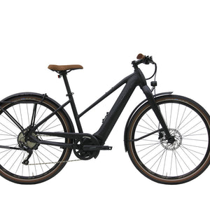 Bulls Urban EVO 10 Step-Thru