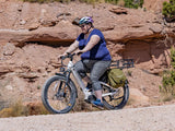 Heybike Alpha Electric Bike