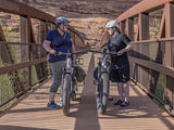 Heybike Alpha Electric Bike