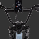 Grateful Dead Valen Rev+ Fat Tire Electric Bike